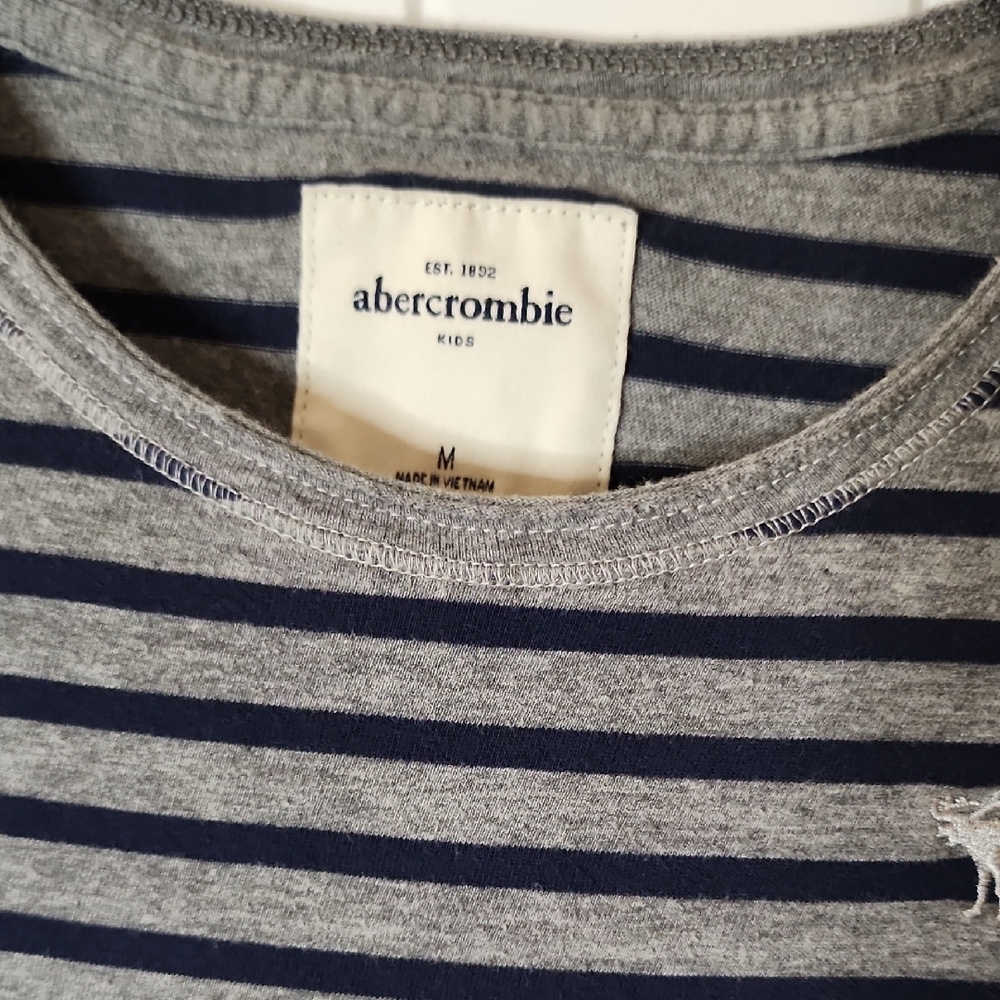 Abercrombie Kids Gray and Blue Striped Shirt